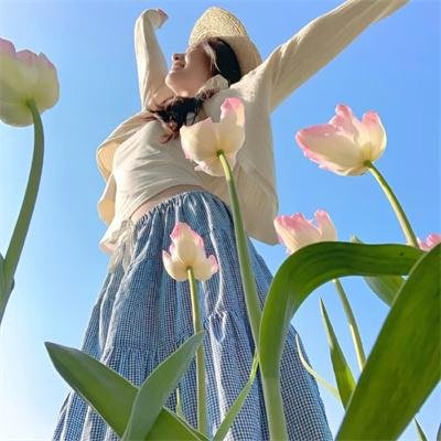 营救夜莺 海报